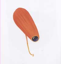 Tekaat