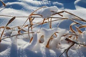 Winter - Licht-Blicke - Theo Schilling
