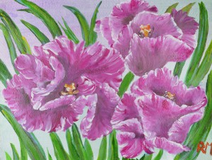 Tulpen