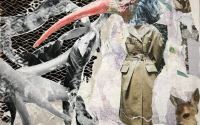 Anni Schedel | Ausstellung Wertachklinik Bobingen